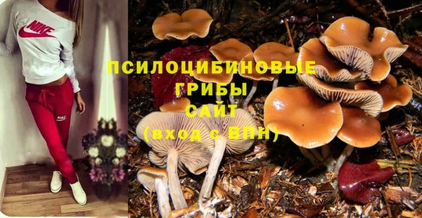 jwh Сатка