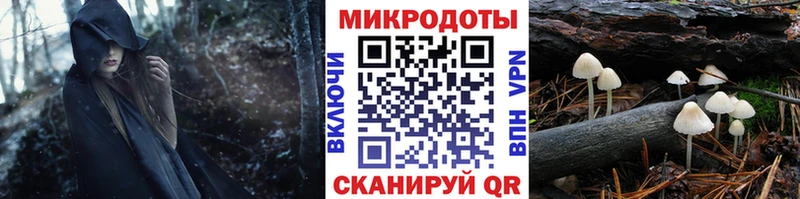 Псилоцибиновые грибы Cubensis  Купить закладки  Советский 